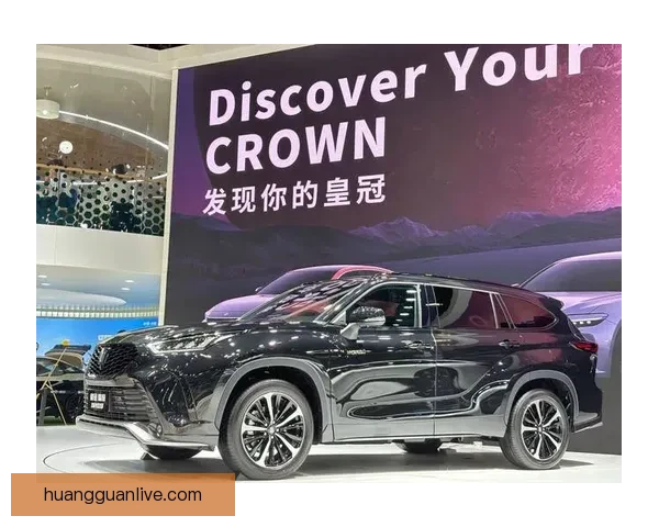 皇冠官网全新升级功能解析与使用攻略详解指南