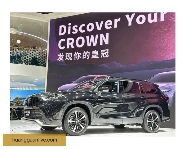 皇冠官网全新升级功能解析与使用攻略详解指南